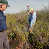 Neal Flanagan, right, a research scientist at Duke University, uses a tool to take a soil sample from a peatland as Curt Richardson, an ecology professor at Duke, observes, May 6, 2026, Belhaven, N.C.