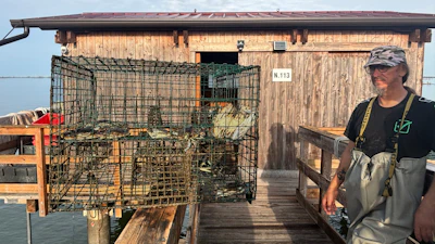 Fisherman Federico Zago poses next to a trap containing blue crabs at his fishing cabin over the Scardovari Lagoon in Italy's Po River Delta, Aug. 21, 2026.