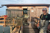 Fisherman Federico Zago poses next to a trap containing blue crabs at his fishing cabin over the Scardovari Lagoon in Italy's Po River Delta, Aug. 21, 2026.
