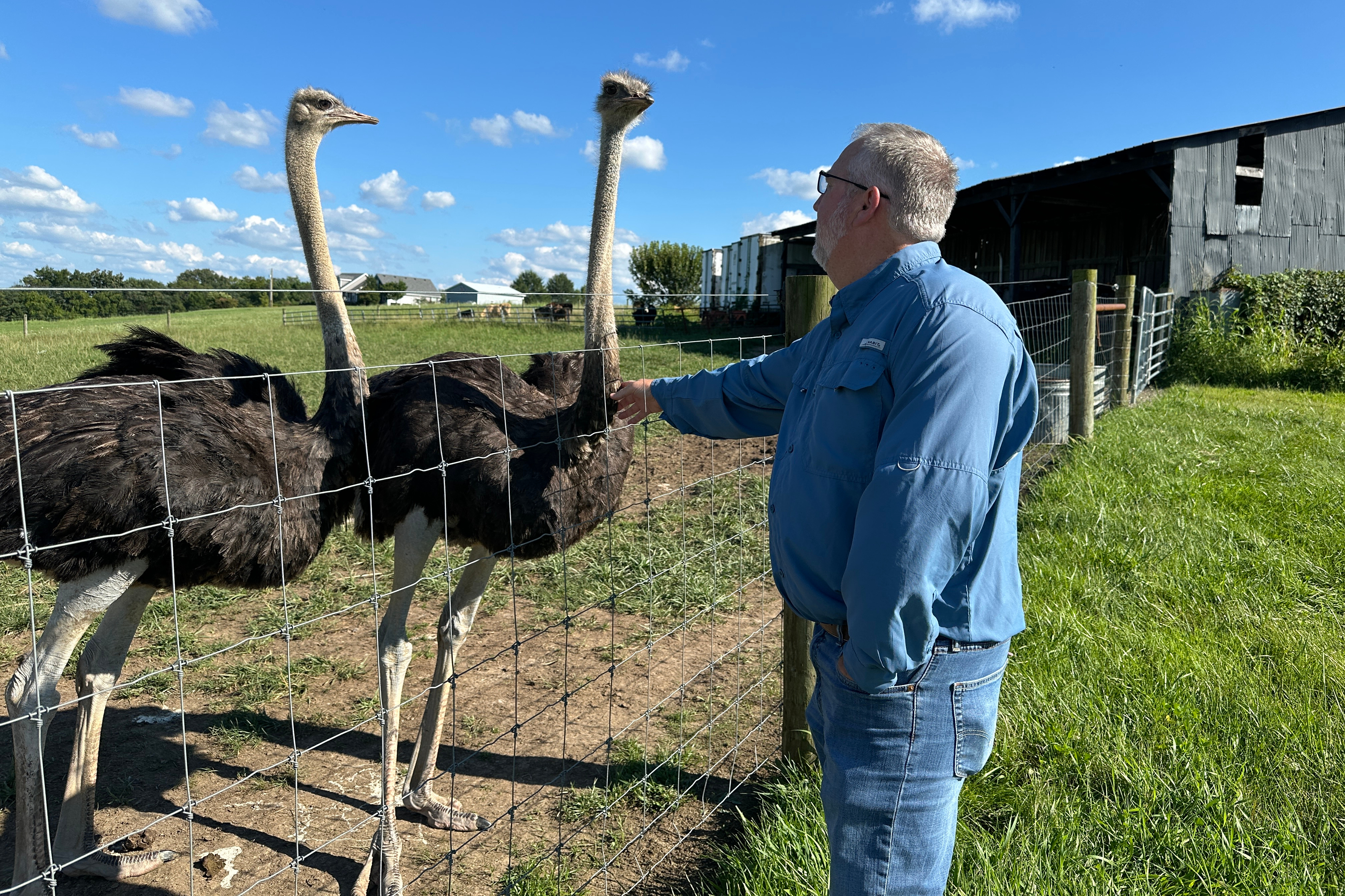 Brent Williams pets an ostrich at Alpha Roost Farms in Danville, Ky., Aug. 18, 2026.