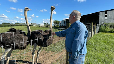 Brent Williams pets an ostrich at Alpha Roost Farms in Danville, Ky., Aug. 18, 2026.