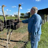 Brent Williams pets an ostrich at Alpha Roost Farms in Danville, Ky., Aug. 18, 2026.