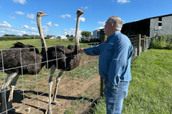Brent Williams pets an ostrich at Alpha Roost Farms in Danville, Ky., Aug. 18, 2026.