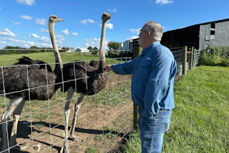 Brent Williams pets an ostrich at Alpha Roost Farms in Danville, Ky., Aug. 18, 2026.