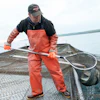 Joel Petersen carries a net of whitefish aboard a boat near Leland, Mich., 2025.