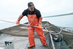Joel Petersen carries a net of whitefish aboard a boat near Leland, Mich., 2025.