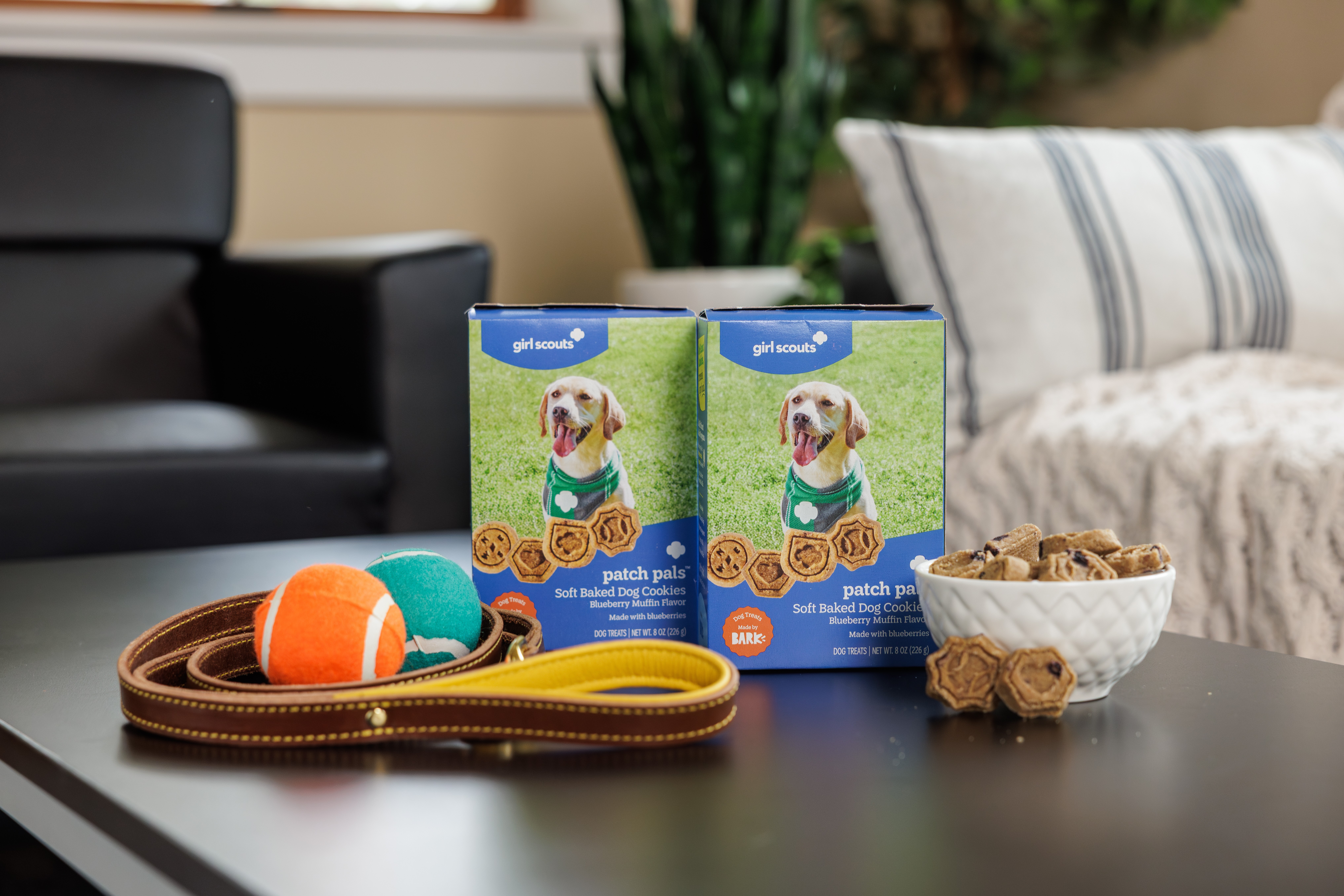 Girl Scouts of the USA's 'Patch Pals' cookies for dogs, Aug. 19, 2026.