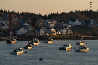 Lobster boats in Jonesport, Maine, April 28, 2023.