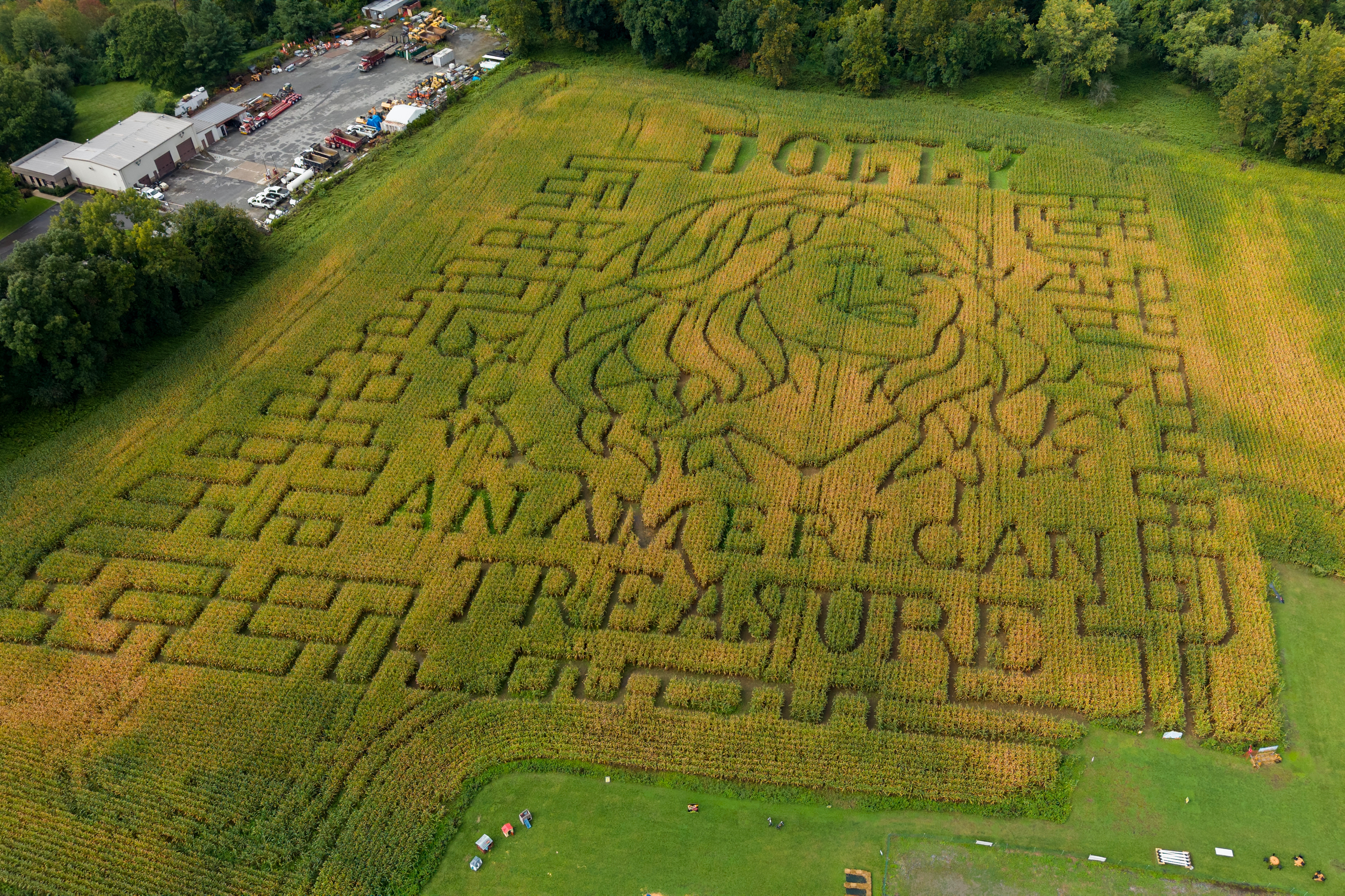 A portrait of Dolly Parton fills a 5-acre corn maze at Twins BBQ Co. in Brookfield, Conn., Sept. 13, 2026.