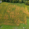 A portrait of Dolly Parton fills a 5-acre corn maze at Twins BBQ Co. in Brookfield, Conn., Sept. 13, 2026.