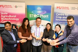 Professor Rajeev Varshey FRS FAA, CCFI co-authors and lab members display peanuts at STOC Plant 2026.