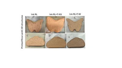 Printed rice-lentil 3D structures
