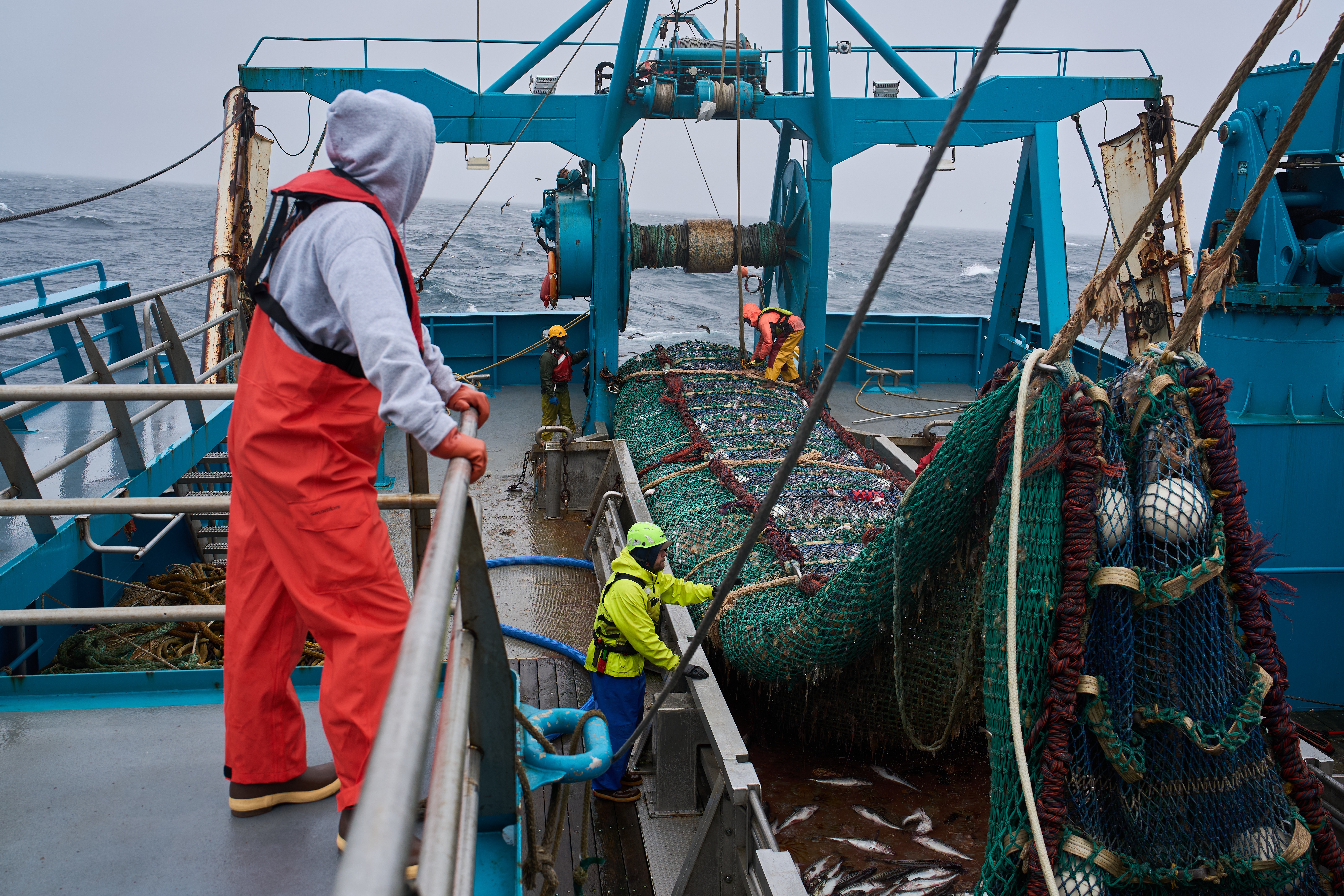 Crew members haul in a catch aboard the F/V Progress in the Bering Sea off the coast of Alaska, July 22, 2026.