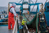 Crew members haul in a catch aboard the F/V Progress in the Bering Sea off the coast of Alaska, July 22, 2026.