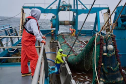 Crew members haul in a catch aboard the F/V Progress in the Bering Sea off the coast of Alaska, July 22, 2026.