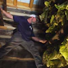 Person examining moss-covered wooden structure in rustic indoor setting with exposed beams