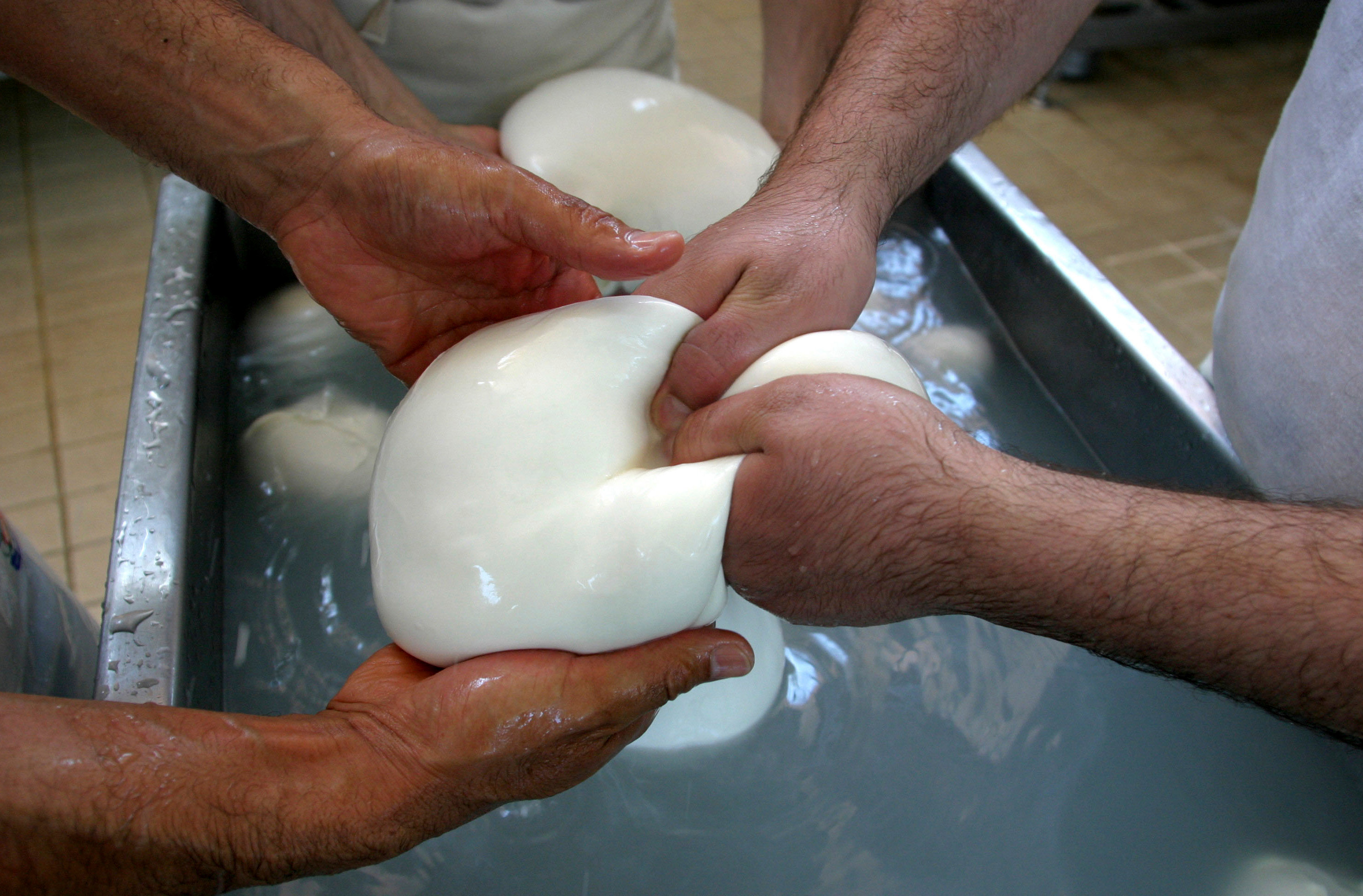 Buffalo mozzarella cheese is prepared at a dairy in Caserta, Italy, 2006.