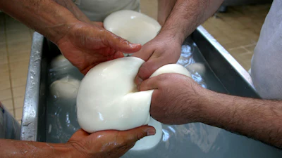 Buffalo mozzarella cheese is prepared at a dairy in Caserta, Italy, 2006.