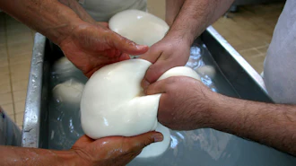 Buffalo mozzarella cheese is prepared at a dairy in Caserta, Italy, 2006.