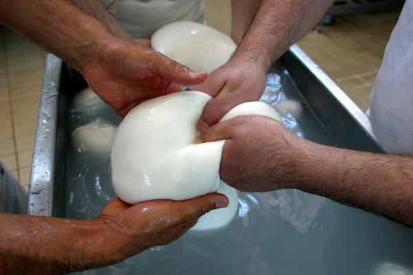 Buffalo mozzarella cheese is prepared at a dairy in Caserta, Italy, 2006.