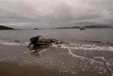 Daniel Arturo Caniullan Huentel, leader of the Indigenous Mapuche Pu Wapi community and a shellfish fisher, pushes a boat into the water before rowing out to his fishing boat in the Guaitecas Archipelago, Chile, May 22, 2025.