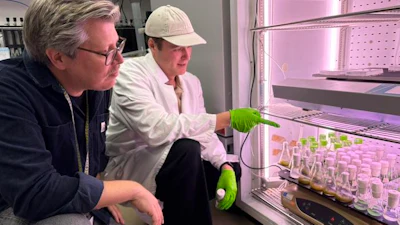 Paul Hudson and the study's co-lead author, PhD student Axel Knave, examine cyanobacterial samples in the lab where they tested 15,000 variants of the enzyme Rubisco.
