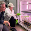 Paul Hudson and the study's co-lead author, PhD student Axel Knave, examine cyanobacterial samples in the lab where they tested 15,000 variants of the enzyme Rubisco.