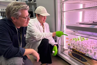 Paul Hudson and the study's co-lead author, PhD student Axel Knave, examine cyanobacterial samples in the lab where they tested 15,000 variants of the enzyme Rubisco.