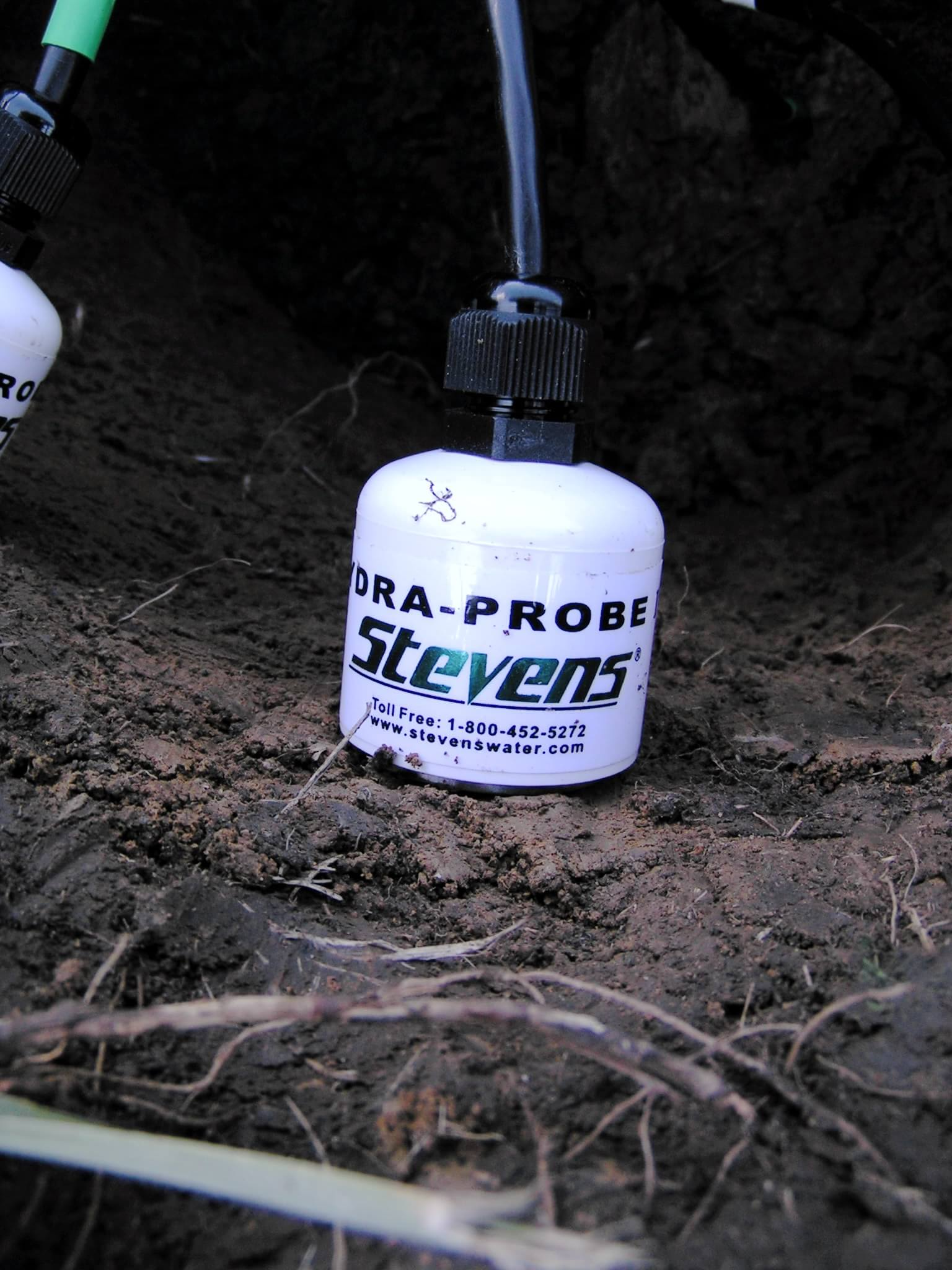 DORA-PROBE Stevens water monitoring probe inserted in soil during field measurement